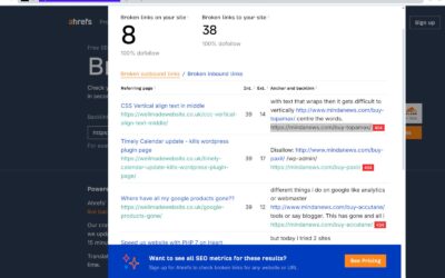 Broken link checker Check your posts for spam links!